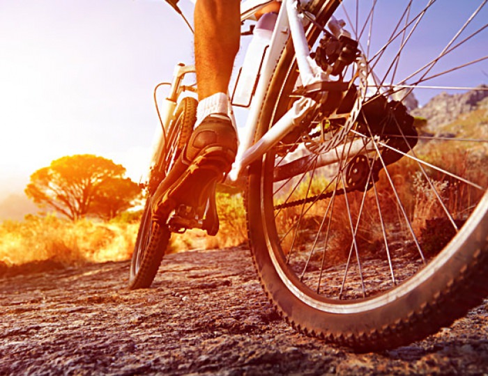 Прокат - Отель Fioleto / Фиолето